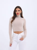 42461 STRICKWAREN SILBERNER ROLLKRAGENPULLOVER-STEIN